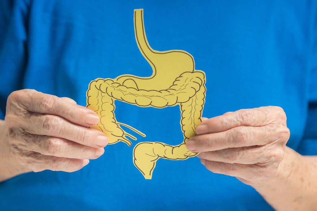 Homem com o desenho do intestino na mão representando a saúde intestinal